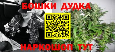 СК Новокубанск