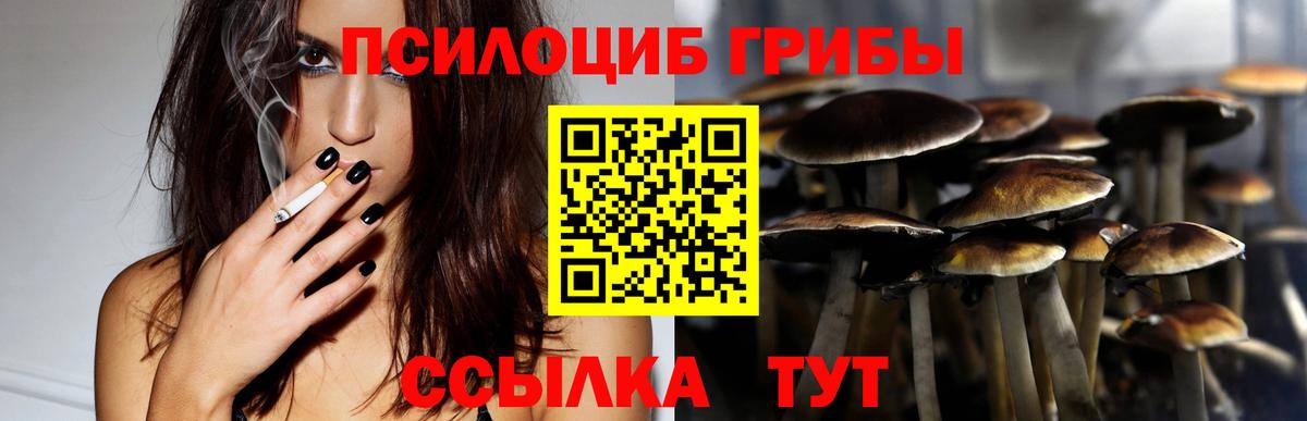 Галлюциногенные грибы MAGIC MUSHROOMS Тихорецк